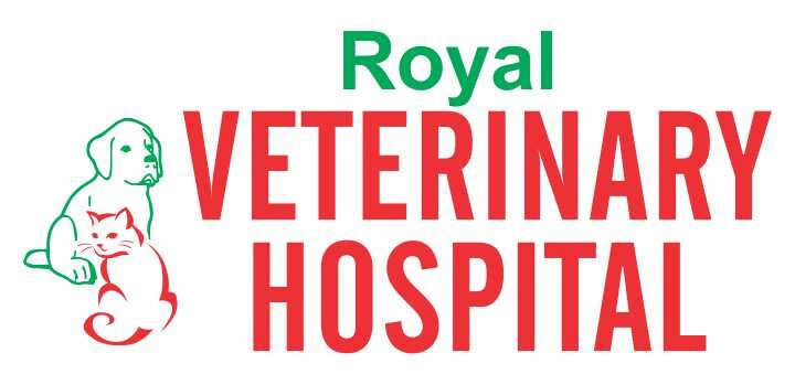 Royal Veterinary Hospital